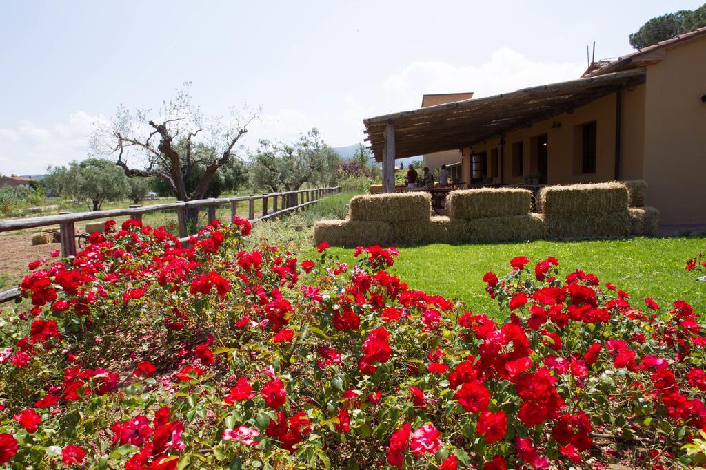 Casone Ugolino Guest House โดโนราตีโก ภายนอก รูปภาพ