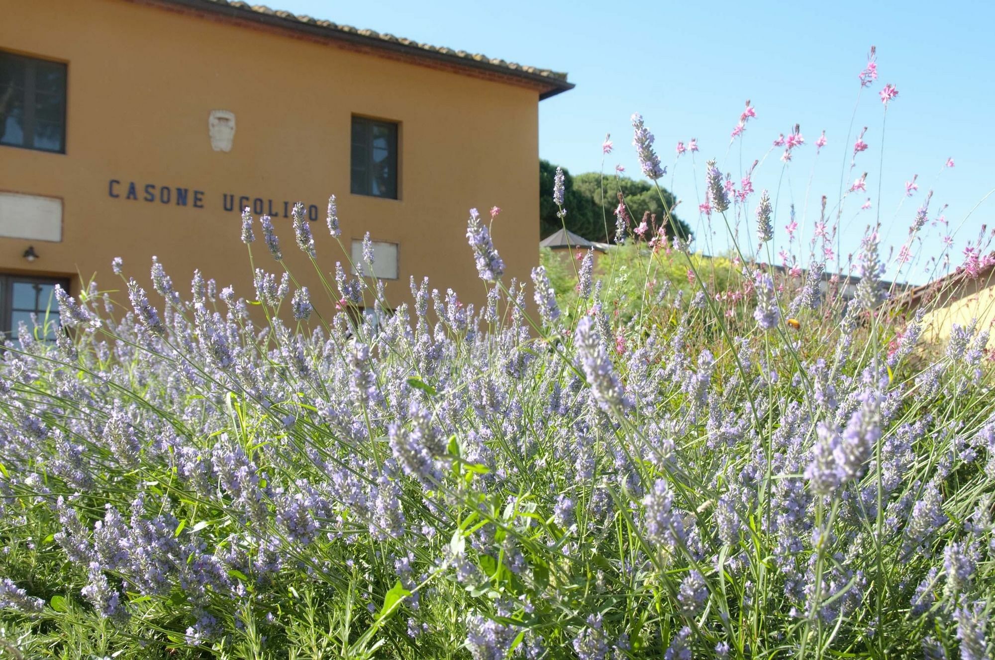 Casone Ugolino Guest House โดโนราตีโก ภายนอก รูปภาพ